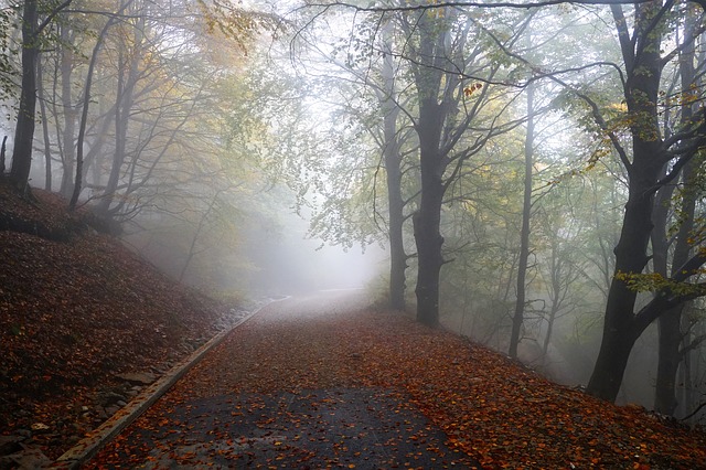 Image by photosforyou from Pixabay