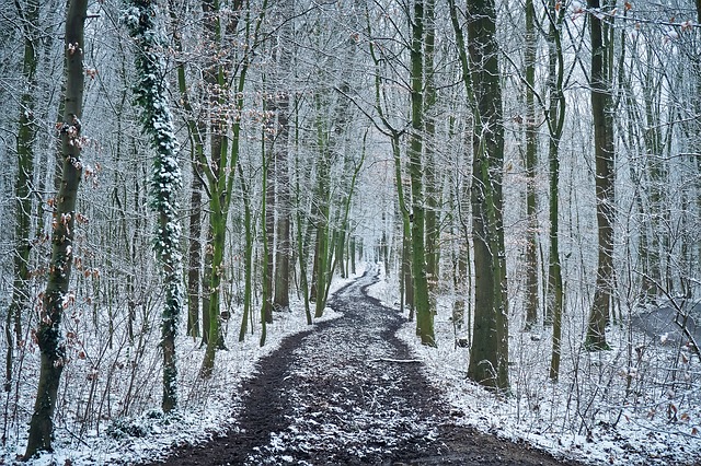 Image by Michael Gaida from Pixabay