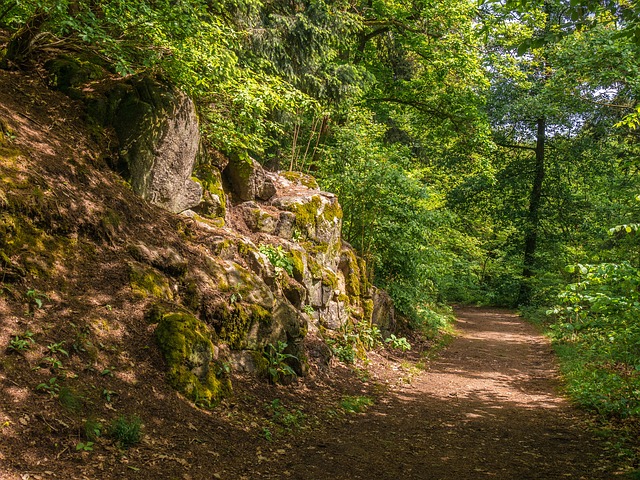 Image by Heidelbergerin from Pixabay