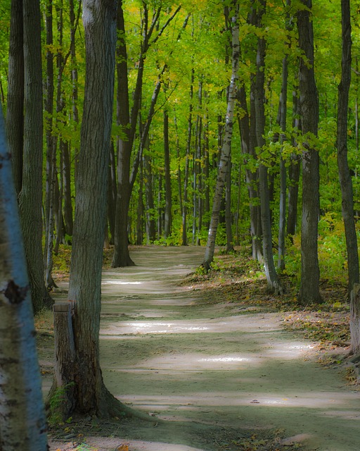 Image by Peter Bandorf from Pixabay