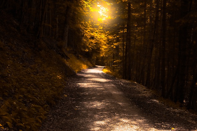 Image by slightly_different from Pixabay