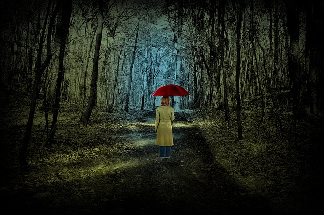 Image by Gundula Vogel from Pixabay