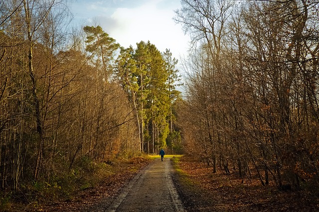 Image by Michael Gaida from Pixabay