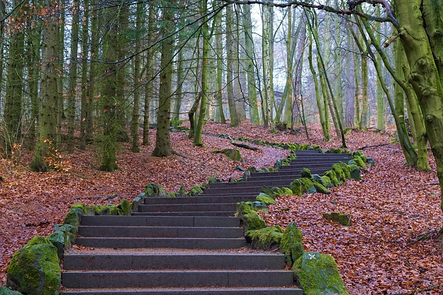 Image by photosforyou from Pixabay