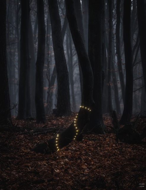 Image by Schitschka from Pixabay