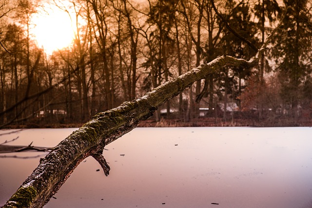 Image by Uli Teichert from Pixabay
