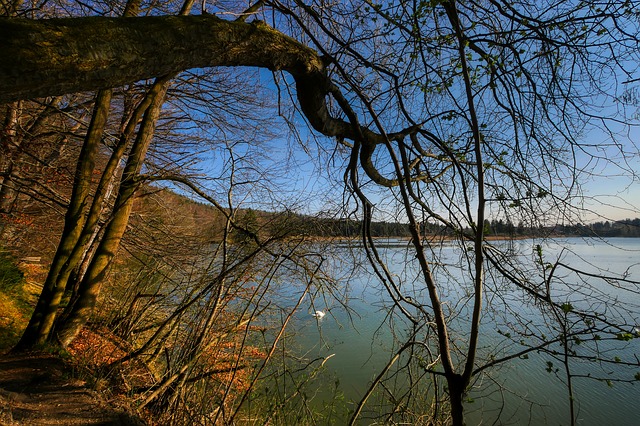 Image by Albrecht Fietz from Pixabay