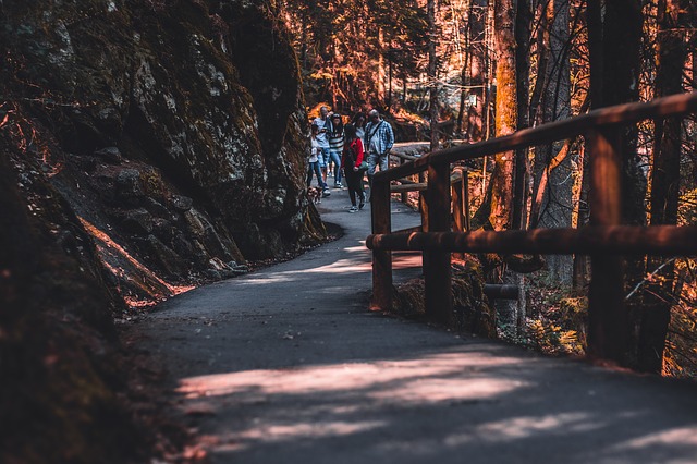 Image by RuxMixArts from Pixabay