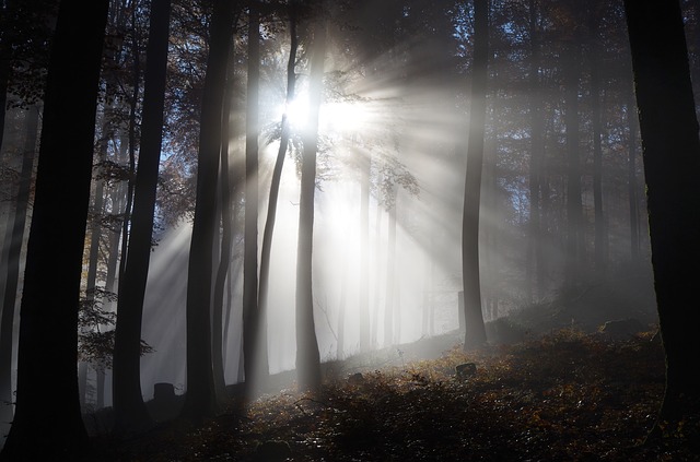 Image by Marcus Wirth from Pixabay