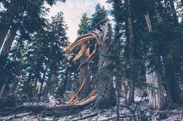 Image by JayMantri from Pixabay