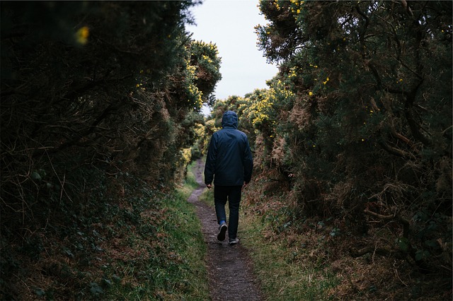 Image by Free-Photos from Pixabay
