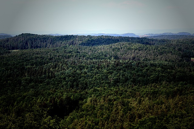 Image by Benedikt Günther from Pixabay