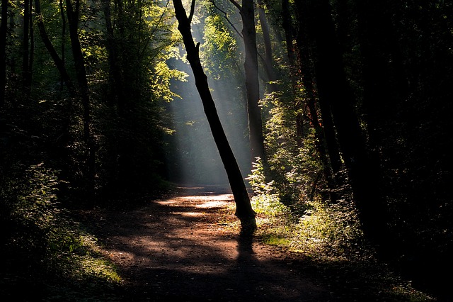 Image by Chräcker Heller from Pixabay