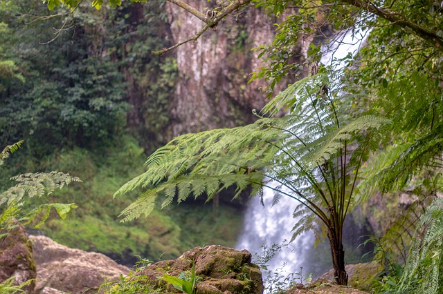 Image by Joaquín Enríquez from Pixabay