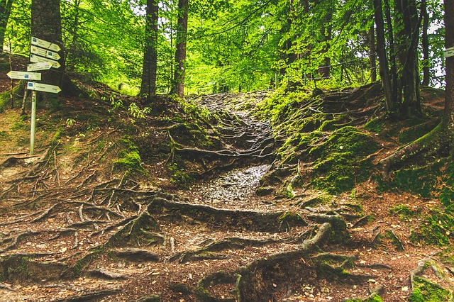 Image by Tommy_Rau from Pixabay