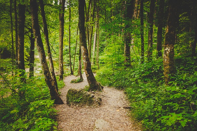 Image by Tommy_Rau from Pixabay