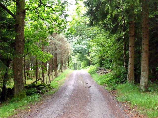 Image by Neofir72 from Pixabay