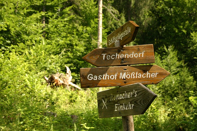 Image by Michael Mürling from Pixabay