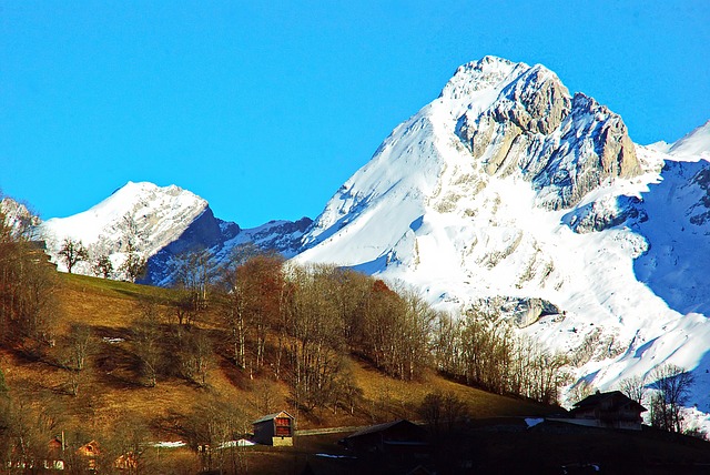Image by Albert Dezetter from Pixabay