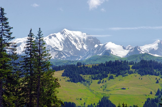 Image by Albert Dezetter from Pixabay