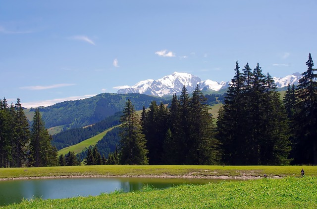 Image by Albert Dezetter from Pixabay