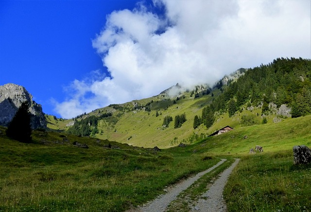 Image by RENE RAUSCHENBERGER from Pixabay