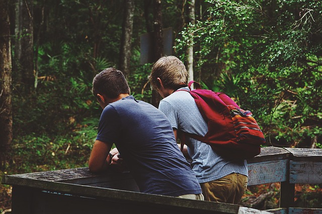 Image by Free-Photos from Pixabay