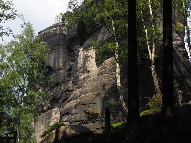 Image by Hans Braxmeier from Pixabay