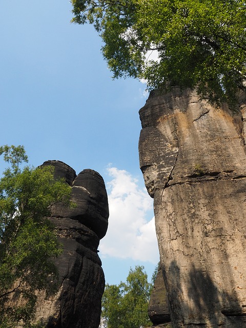 Image by Hans Braxmeier from Pixabay