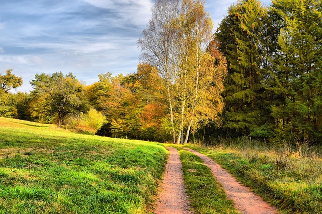 Image by Marion Wellmann from Pixabay