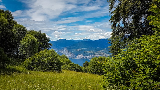 Image by Tommy_Rau from Pixabay