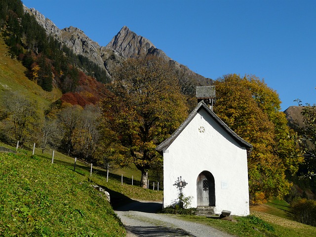 Image by Hans Braxmeier from Pixabay