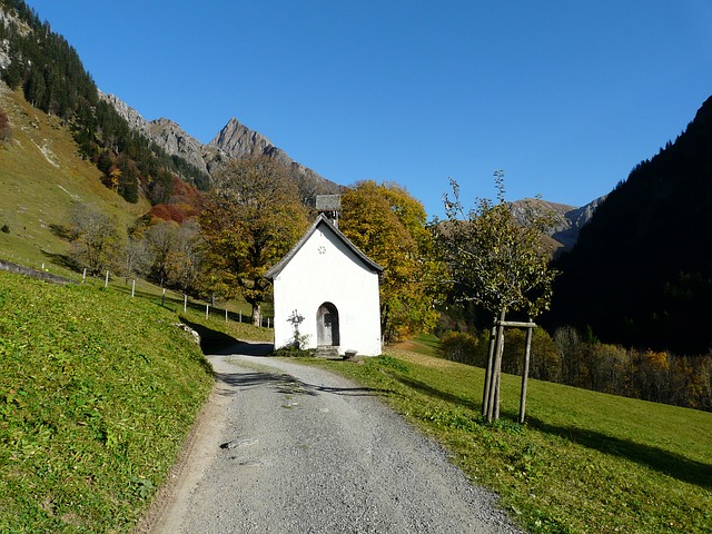 Image by Hans Braxmeier from Pixabay