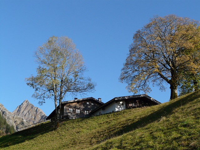 Image by Hans Braxmeier from Pixabay