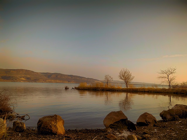 Image by MegMarkR1 from Pixabay