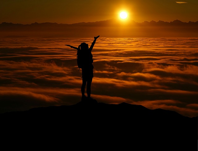 Image by mohamed Hassan from Pixabay