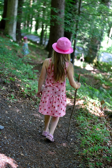 Image by Pezibear from Pixabay