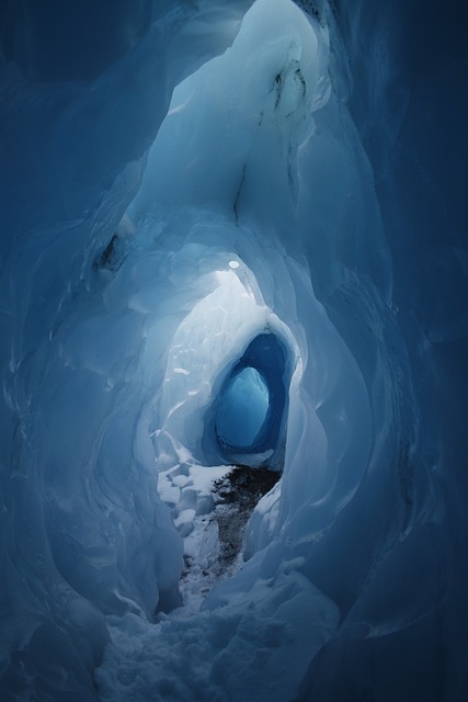 Image by Philip Broadbent from Pixabay