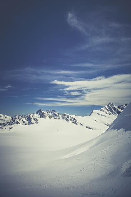 Image by Markus Spiske from Pixabay