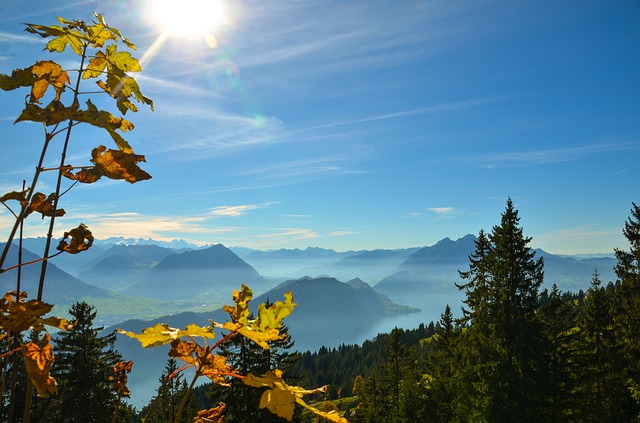 Image by Sarah Lötscher from Pixabay