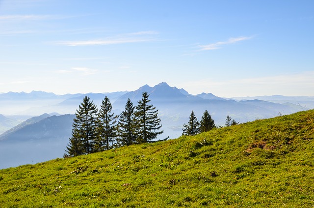 Image by Sarah Lötscher from Pixabay
