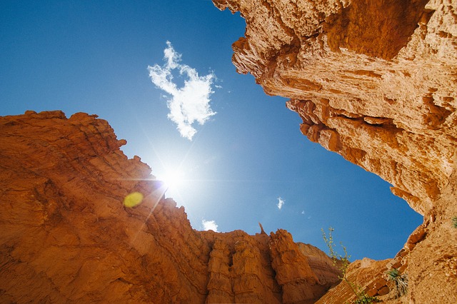 Image by Free-Photos from Pixabay