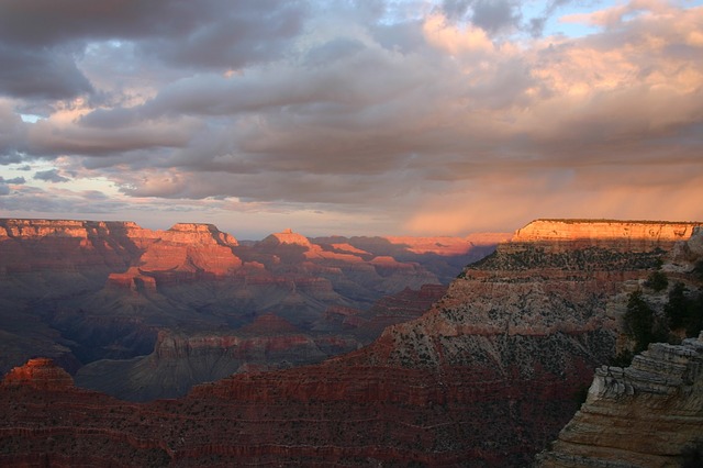 Image by PublicDomainPictures from Pixabay