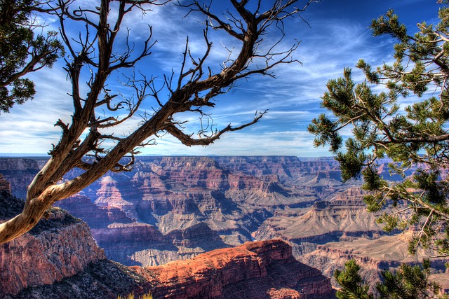 Image by Alex Williams from Pixabay