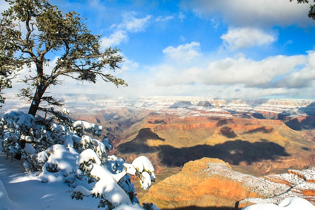 Image by Egor Shitikov from Pixabay