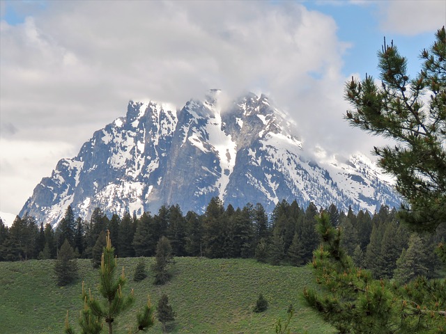 Image by GeorgeB2 from Pixabay