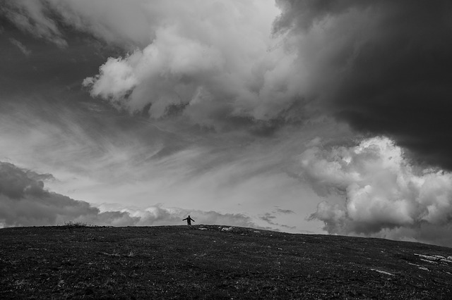 Image by StockSnap from Pixabay