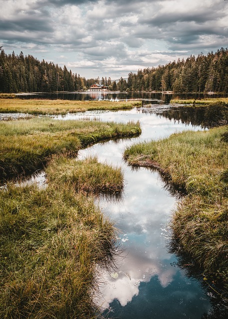 Image by O12 from Pixabay