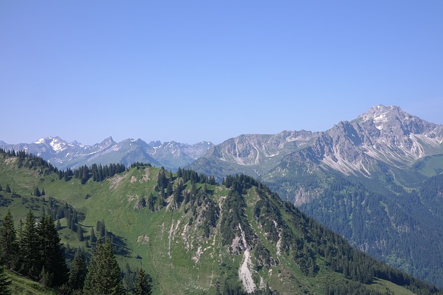 Image by Hans Braxmeier from Pixabay