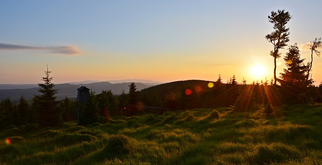 Image by Paulina Orłowska from Pixabay